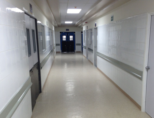 Hospital Escuela Universitario